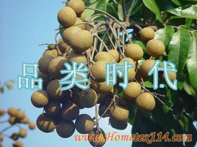 [�uՓ]�̼�Ո���M(j��n)Ʒ��Ʒ���r��