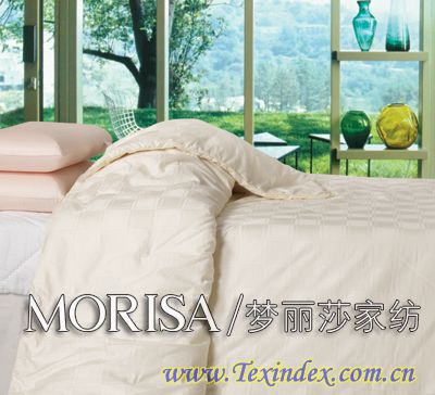 ����ɯ��������Ĝء�о���ʫI(xi��n)