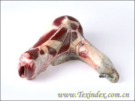 �i�����ļҾ���Ʒ�������