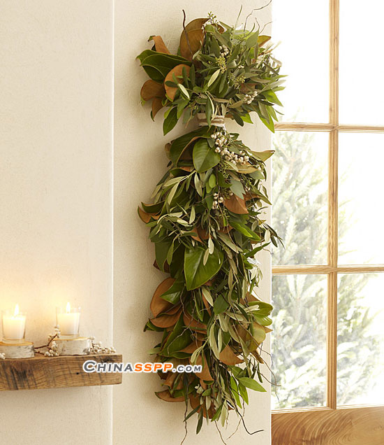 ʥ�Q���������@Щ�b�Ʒ