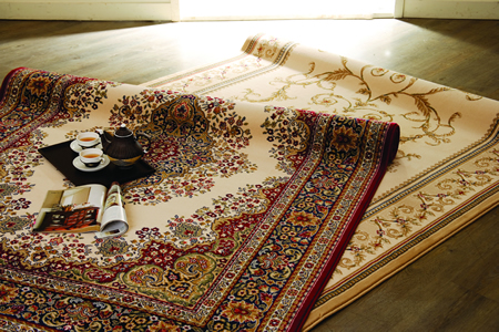 HOLA�����ݵ�̺���B(y��ng)�M(j��n)�Еr(sh��)