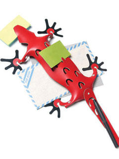 �ǳ��ɐ۵�Ƥ��ռ{С���