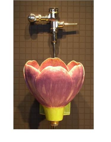 Ư�����ص�WCϴ�ֳ�