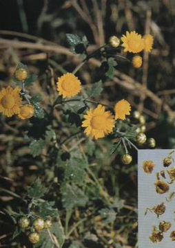 ����ջ��㣬ˎ���ͽ���