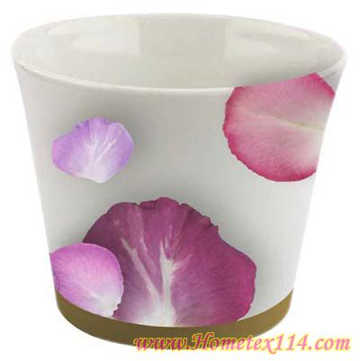 �����һ��t�����Ĳ;�������