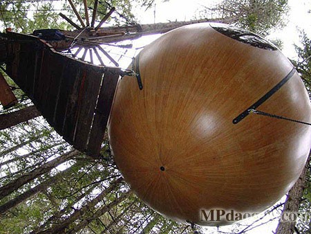 ������˼��(chu��ng)�����w�Ƅ�(d��ng)����