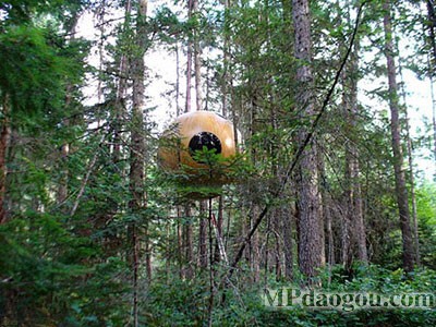 ������˼��(chu��ng)�����w�Ƅӷ���