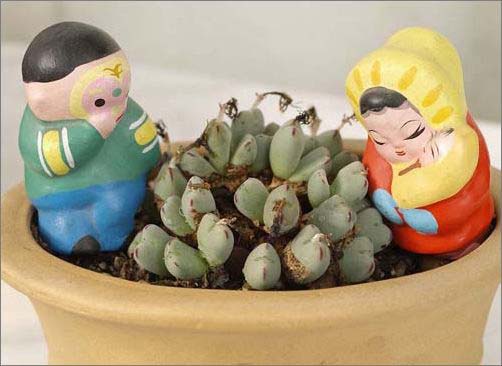 �T��Сʯ�������o(w��)�޾��ʼҾ�