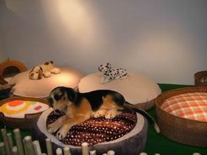 ��С�Y���Ӽұ؂���Ʒ