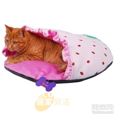 �Ҿӿɐ۲�ݮС��