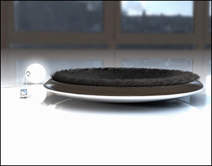 �������_�Ą�(chu��ng)��Ҿ���Ʒ