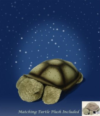 ����ɐ۵İl(f��)�������