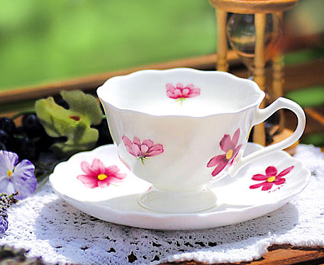 ��(x��)�ɲ;ߣ��������������