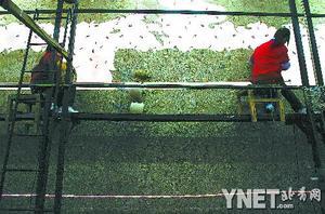 ���B���� ��̺����W�\Ԫ��