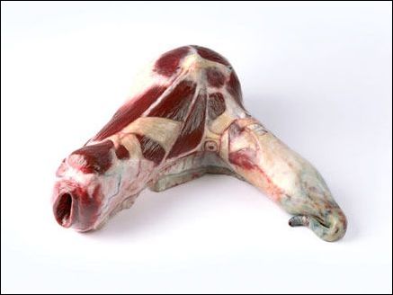 �в����i�����ļҾ���Ʒ