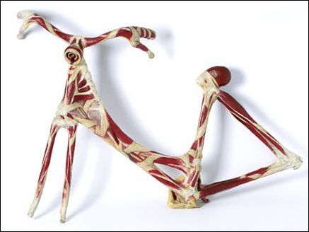 �в����i�����ļҾ���Ʒ