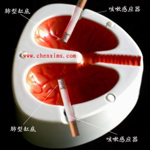 ����(j��)�o����(g��)������Ҹ�