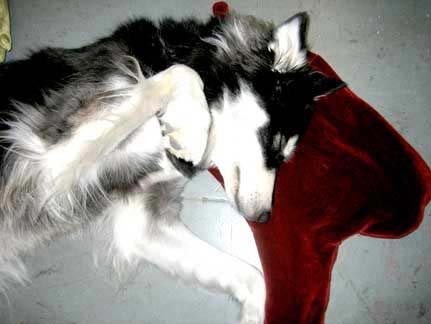 ��(chu��ng)���O(sh��)Ӌ��Ѫ���^��ɢѪ��