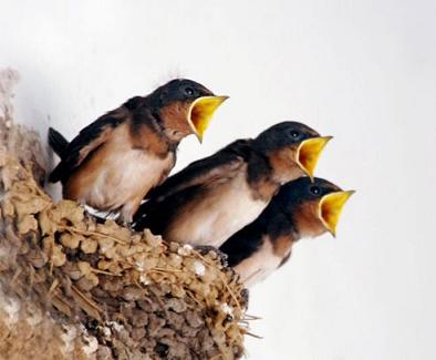 ��(chu��ng)�I(y��)�ؿ�ʮ��(j��ng)��Ҫ�E