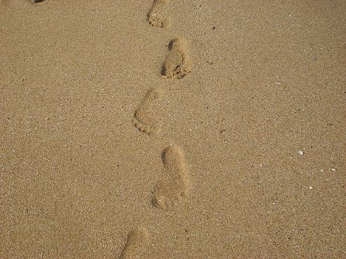 ʩ�����������΄�(chu��ng)�I(y��)�ɹ���