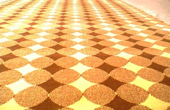 ��Ȼ���|(zh��)�ĵ�̺��(y��ng)ԓ������x