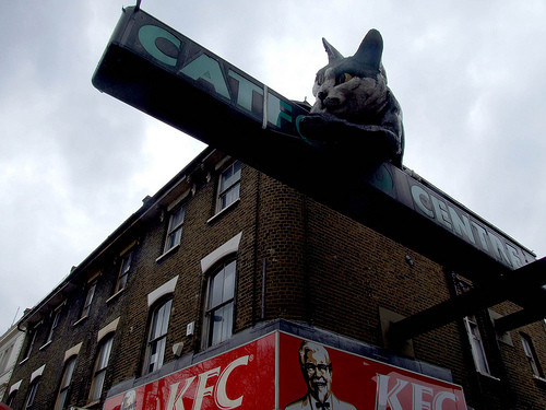 �廨���T������b�