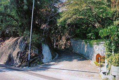 ���ʮ���լ����\(ch��ng)�����ŵڶ�