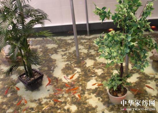 �r(sh��)�С����m����ܰ���{(l��n)���Ҽ�չʾ����