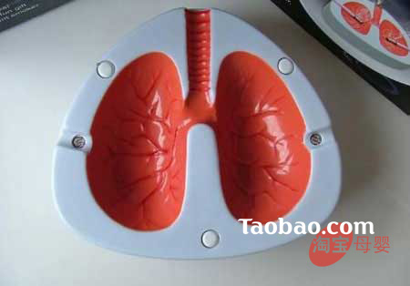 �gЦ�r�����˹�(ji��)�������