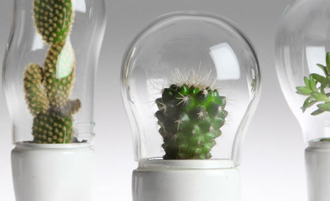 ������Ц����ѝ�ӵ�����