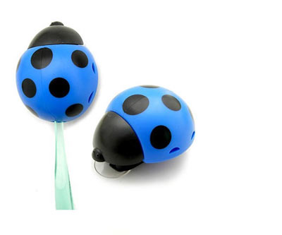 �ɐ�(��i)��ͨ�Ҿ�����Î���