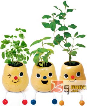 ��(chu��ng)��N��С�Ʒ�o������c�ϣ�һ��