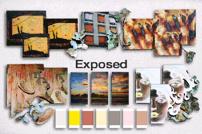 ����(gu��)�޻���˾2010��������ɫ��