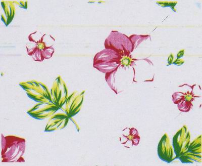 �A�W(w��ng)ӡ������