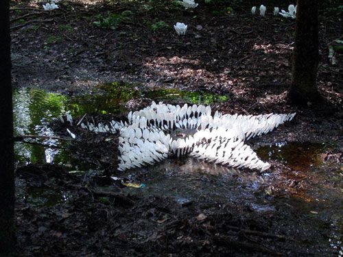 һ���Բ;�ƴ���e��ˇ�g(sh��)