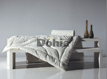 ��ϲ��������˯�ߺùܼ�