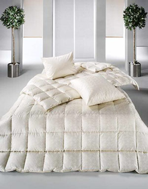 ȫ���J(r��n)�R(sh��)��ʽ�����ޱ�