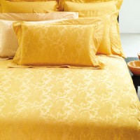 ˮ�� ��ɫ��݆