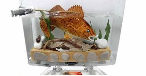 �ձ�͸���RͰ������