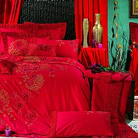 ������ӡ