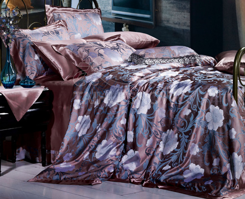 ̫��ѩ���ŵ��c�r�еĽY(ji��)��