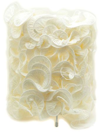 �Ҿ��O(sh��)Ӌ�г��ÿ����������