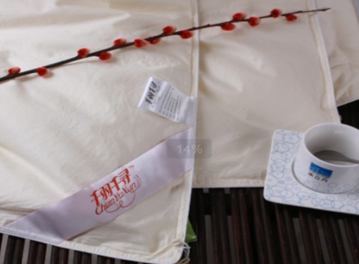 ǧ��ǧ����q��2010��Ʒ�l(f��)����(hu��)