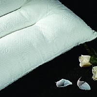 �Q���Ӵ��w�S��