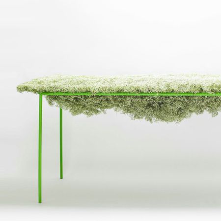 ��(chu��ng)��DIY ���侎����������