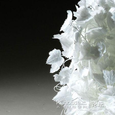 ���׵Ę�(sh��)�~�����Є�(chu��ng)�⵫�ܹª�(d��)