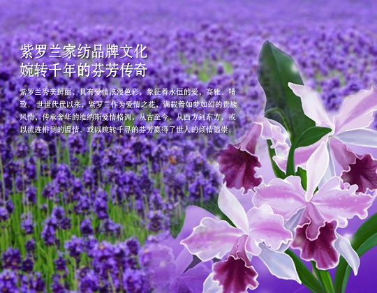 �� ���_�m���� �������_�m����