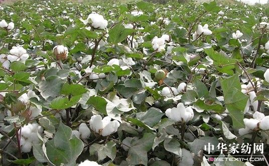 ����Ҽ�ռ��(j��)�YԴ��(y��u)��