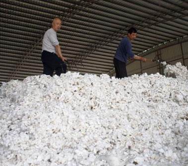 �ރr(ji��)��(y��n)���µ� ���޳ɟo��֮�e