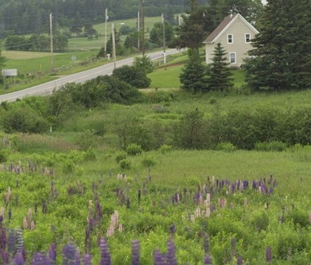 ���z�Ҽ���ʮһ������������